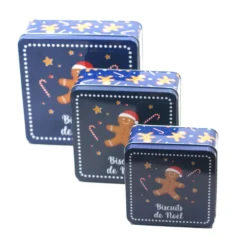 Boites Gigognes - Biscuits De Noël -Promos Nid Objet Magasin boites gigognes biscuits de noel 2