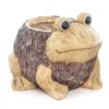 Cache Pot Effet Bois - Grenouille