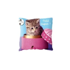 Coussin Déco - Chaton Petit Coquin -Promos Nid Objet Magasin coussin deco petit coquin 1
