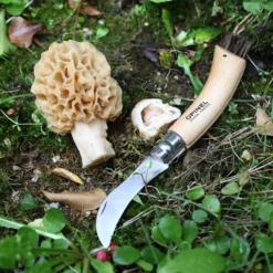 Couteau à Champignons OPINEL- 955 -Promos Nid Objet Magasin couteau a champignons opinel 955 2