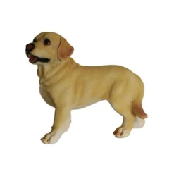Labrador - 32 Cm -Promos Nid Objet Magasin labrador 32 cm 3