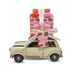 Set De Toilette Fruit Rouge - Mini Vintage En Métal 6 Set De Toilette Fruit Rouge - Mini Vintage En Métal -Promos Nid Objet Magasin set de toilette fruit rouge mini vintage en metal 2